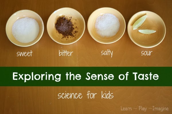 Taste Test Science: Fool Your Tongue!